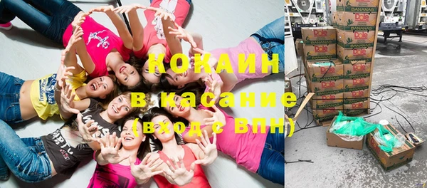 молекула духа Покровск