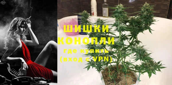 молекула духа Покровск