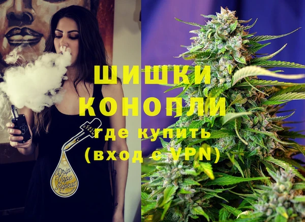 молекула духа Покровск