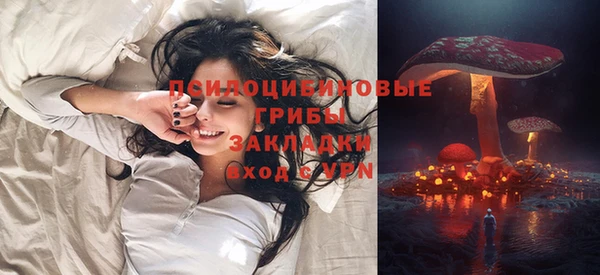 молекула духа Покровск