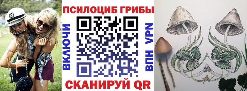 Псилоцибиновые грибы мицелий  Светогорск 
